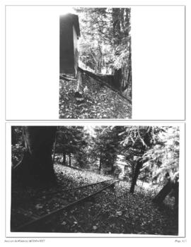Photographies de voies de chemin de fer en forêt