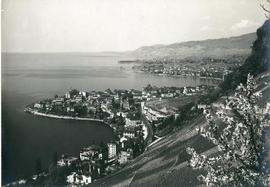 Montreux: Panorama sur Territet, le Trait et Clarens